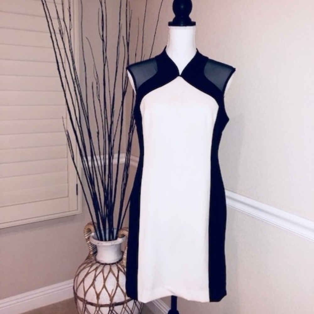 Mesh Two-Tone Evening Dress
